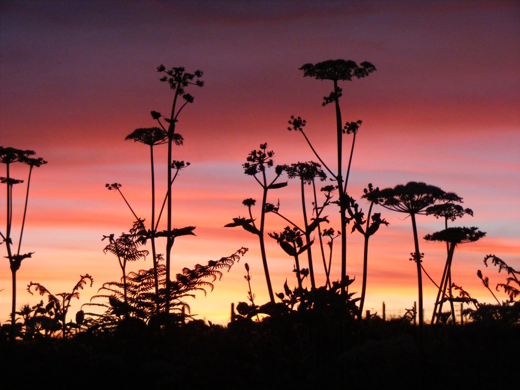 Sunset at Sea View Campsite, Slapton, South Devon (Nearest towns are Dartmouth, Kingsbridge and Salcombe).