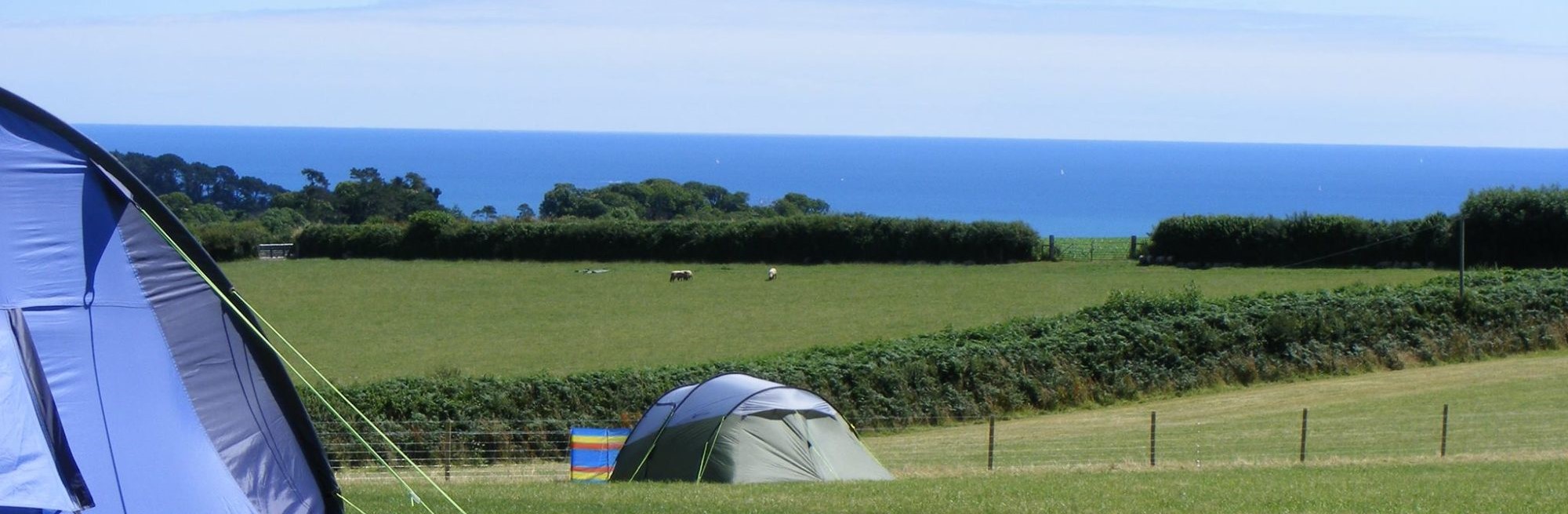 Tents camping in a field with a view of the sea at sea view campsite in devon