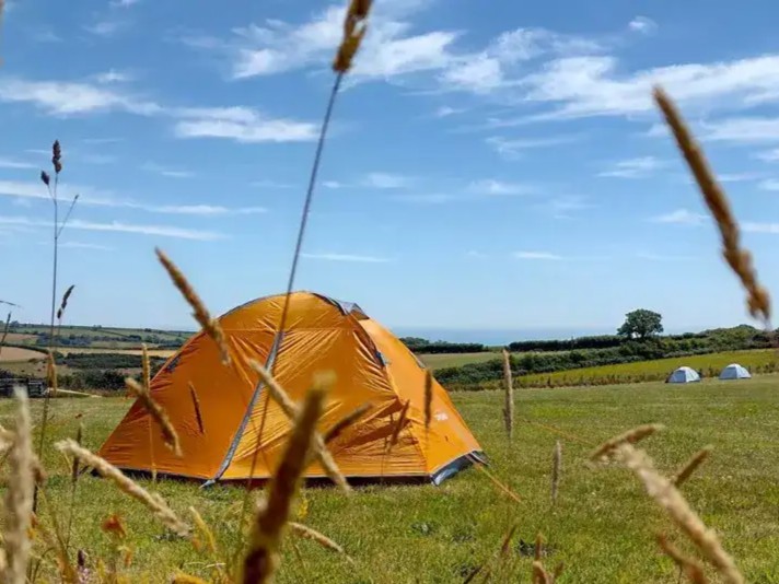 Orange tent wild camping in Devon at Sea View Campsite